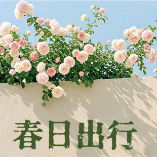 120 男女童春夏运动风连帽拼色外套 170轻薄透气防晒衣 见3