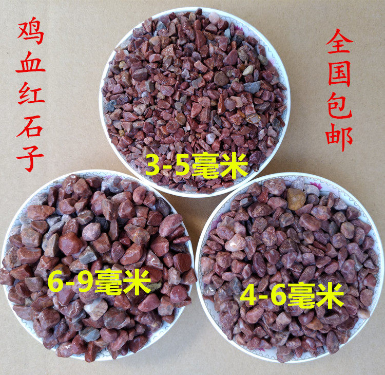 天然鸡血石血色小石子鹅卵石多肉铺面红色石头鱼缸造景装饰底沙子