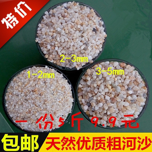 天然粗河沙粗砂多肉兰花营养土粗沙粒铺面石养花用河砂种植土植料