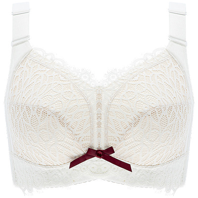 女士无钢圈大码文胸聚拢