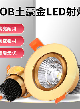 金色LED防眩COB射灯筒灯孔灯嵌入式酒店寺院装饰家用客厅书房吊顶
