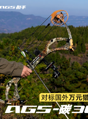 AGS新款碳30迷彩复合弓