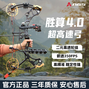 AGS胜算4.0复合弓专业级竞技射箭射击高精准度运动猎弓非霍伊特
