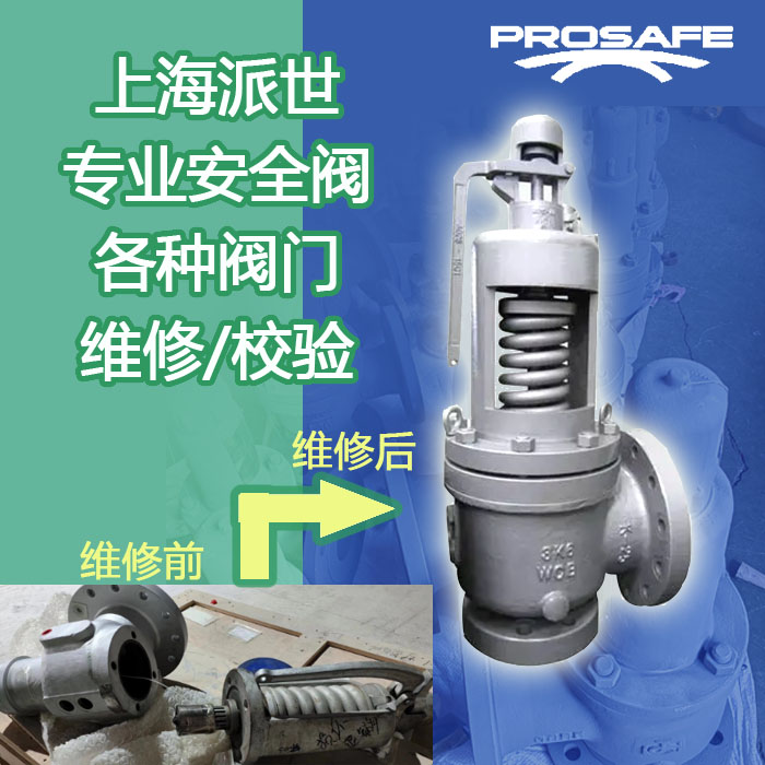 荷兰转子泵Pomac泵PLP转子维修机械密封轴承维修专业泵阀维修