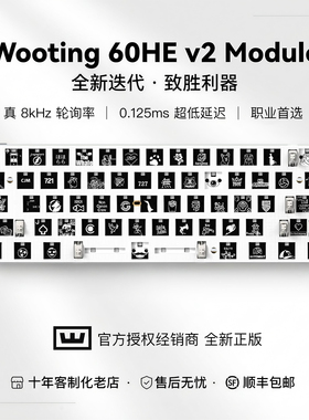Wooting60HE v2 Module pcb模块电竞游戏键盘模组改装满改fps镂空