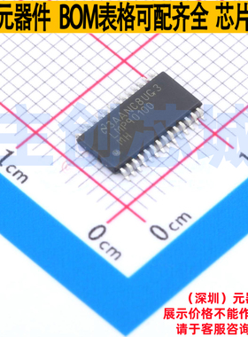 模拟前端(AFE) LMP90100MHX/NOPB HTSSOP-28 TI/德州 电子元器件