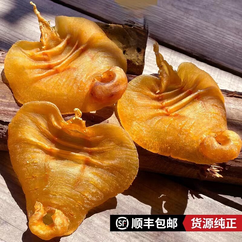 陈年赤嘴老胶赤嘴鳘鱼胶