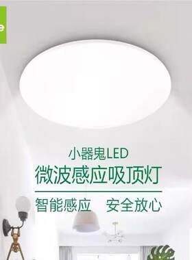 小器鬼雷达感应吸顶灯楼道卫生间