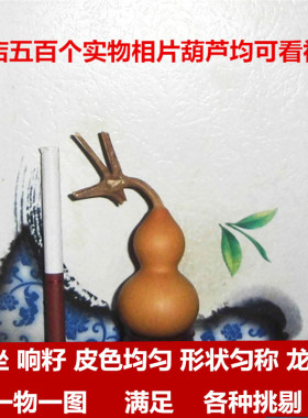 天然葫芦紫皮收藏品一物一图把玩