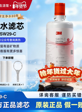 3M净水器SW29后置替换精主滤芯 适配SW20/26/DWS2000-CN/2076滤芯