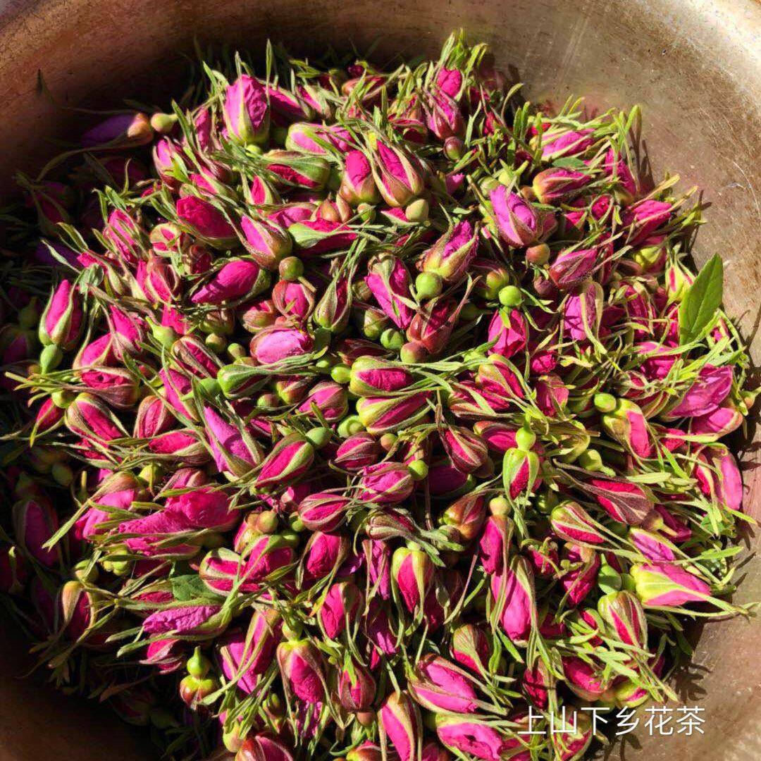 内蒙古刺玫果花极小朵