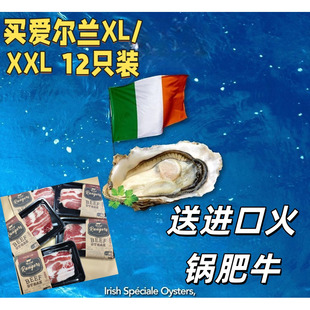 鲜活可生食刺身赠蚝刀 空运进口爱尔兰嘉文生蚝N1号12只礼盒装