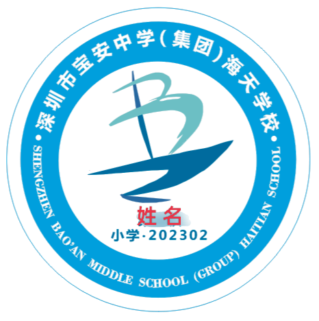 深圳校徽定做宝安区龙岗区光明区龙华区中小学生校服姓名学号布贴