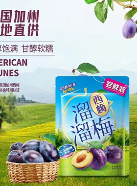 溜溜梅加州西梅超值装260g青梅酸话梅休闲零食办公室蜜饯果干