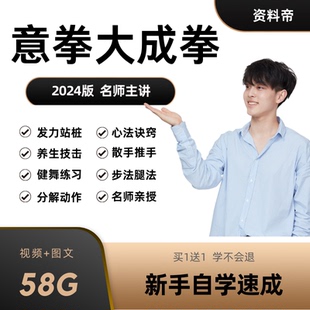 意拳大成拳视频教程全套教学站桩发力浑圆桩养生技击散推手实战