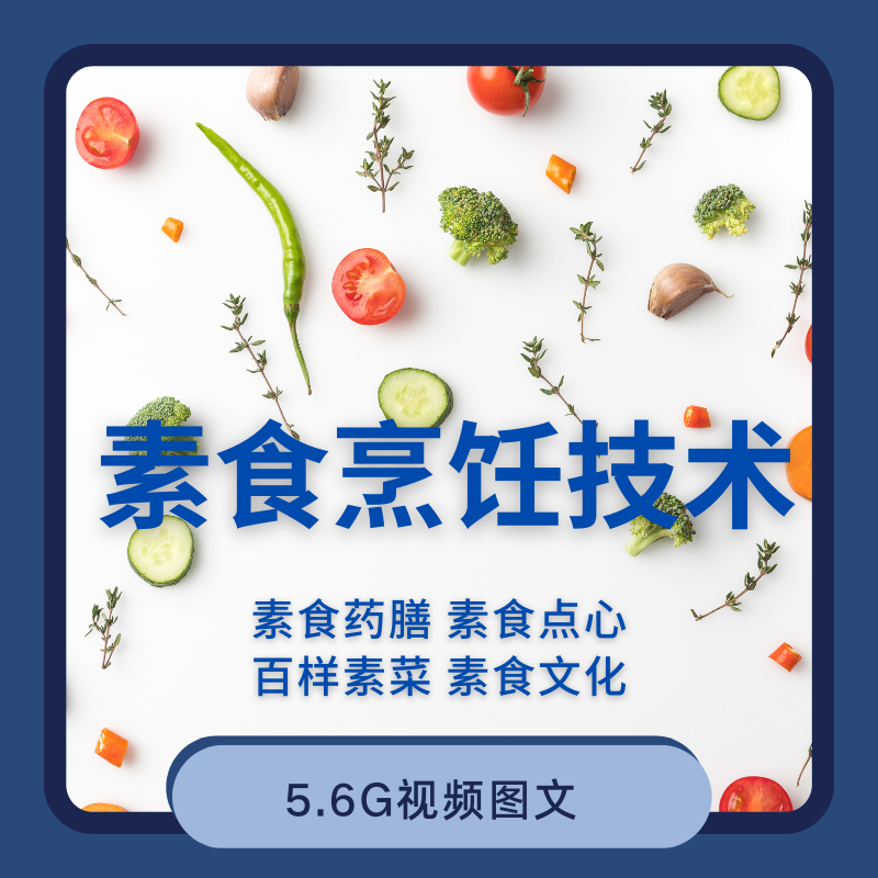 素菜烹饪技术视频教程素食菜谱做法斋菜肴药膳点心文化观念养生