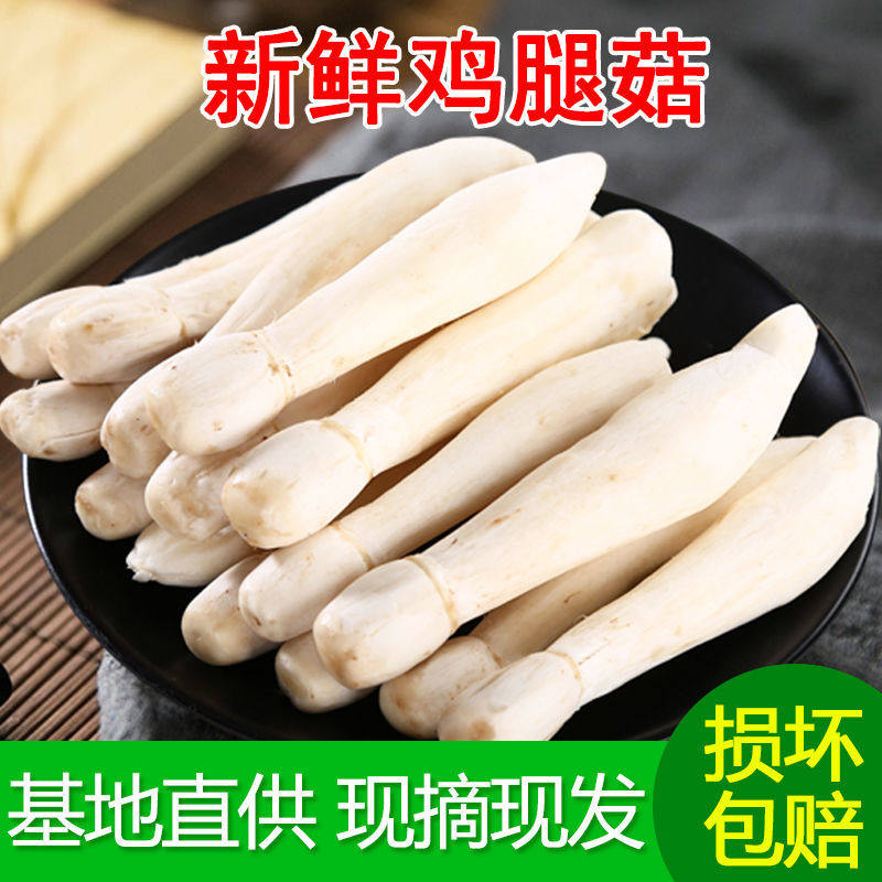 【顺丰包邮】新鲜鸡腿菇蘑菌菇食用菌菇小松茸煲汤火锅美味食材