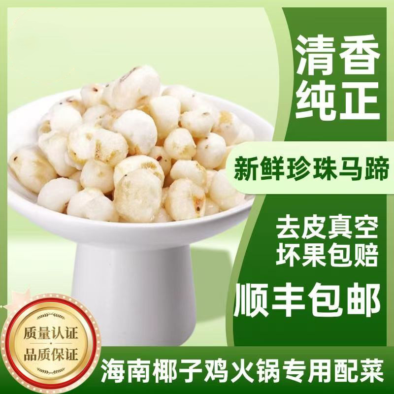 去皮马蹄海陵岛新鲜野生珍珠马蹄阳江小荸荠椰子鸡火锅配菜料煲汤