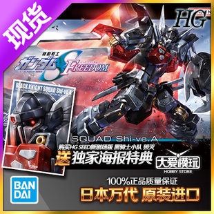 预订万代 HG HGCE1/144 黑骑士小队毁灭 高达SEED FREEDOM 剧场版