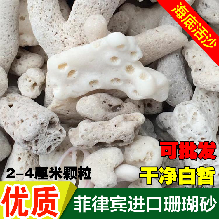 进口珊瑚砂450克鱼缸过滤材料菲律宾珊瑚沙珊瑚骨提高PH滤材净水