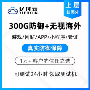 高防服务器租用物理独享带宽高配网站游戏服务器傲盾高防传奇