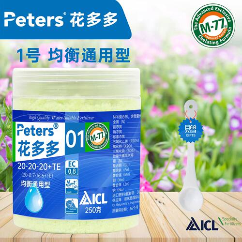 催花进口月季树苗盆景绿植复合肥