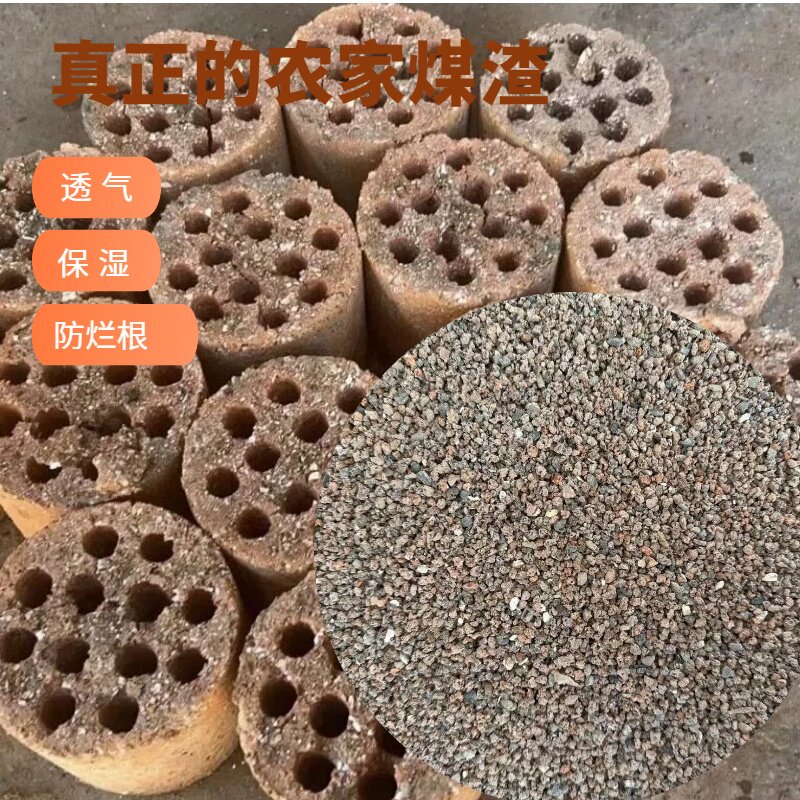蜂窝煤渣去硫煤球渣多肉兰花营养土煤碳渣防板结透气淘洗浸泡干净
