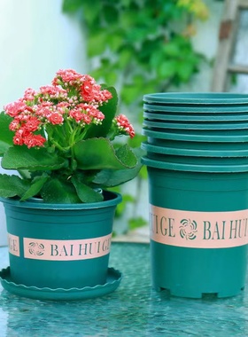 多肉绿萝田园园艺绿植种植透气花卉养殖盆树脂塑料加仑盆