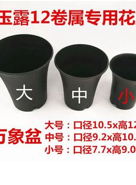 大中小号迷你植物盆桌面植物万象盆多肉植物磨砂盆高腰盆塑料花盆