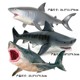 儿童玩具仿真动物鲨鱼海洋生物模型大白鲨巨齿鲨蓝鲸虎鲨摆件男孩