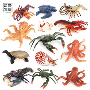 仿真海洋动物模型玩具八爪鱼螃蟹乌龟鹦鹉螺儿童认知早教益智礼物