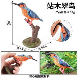 儿童玩具仿真动物模型实心站木翠鸟水鸟佛法僧目早教认知盆景摆件