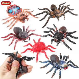儿童认知玩具仿真动物模型蜘蛛昆虫白漆头蜘蛛狼蛛跳蛛漏斗蛛解压