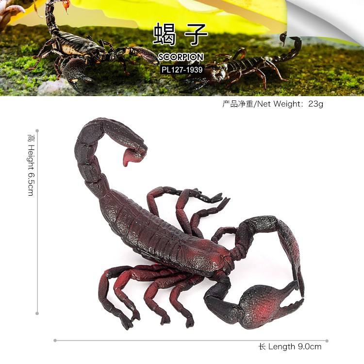儿童蒙氏教具仿真昆虫野生动物模型蝎子实心玩具盆栽场景摆件早教