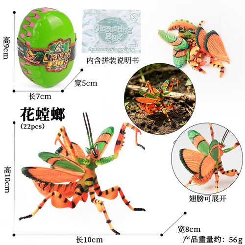 4D仿真昆虫拼装模型玩具