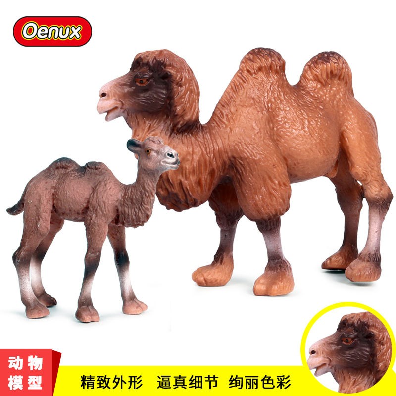 实心仿真骆驼模型单峰驼双峰驼