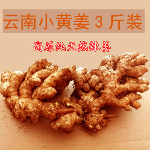 云南小黄姜罗平生姜新鲜蔬菜