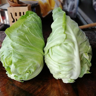 牛心菜云南新鲜蔬菜卷心菜包心菜尖尖白菜绿甘蓝露天莲花白泡菜
