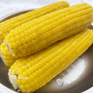 东北鲜糯玉米软糯香甜每份10根真空包邮甜糯玉米健康即食玉米代餐