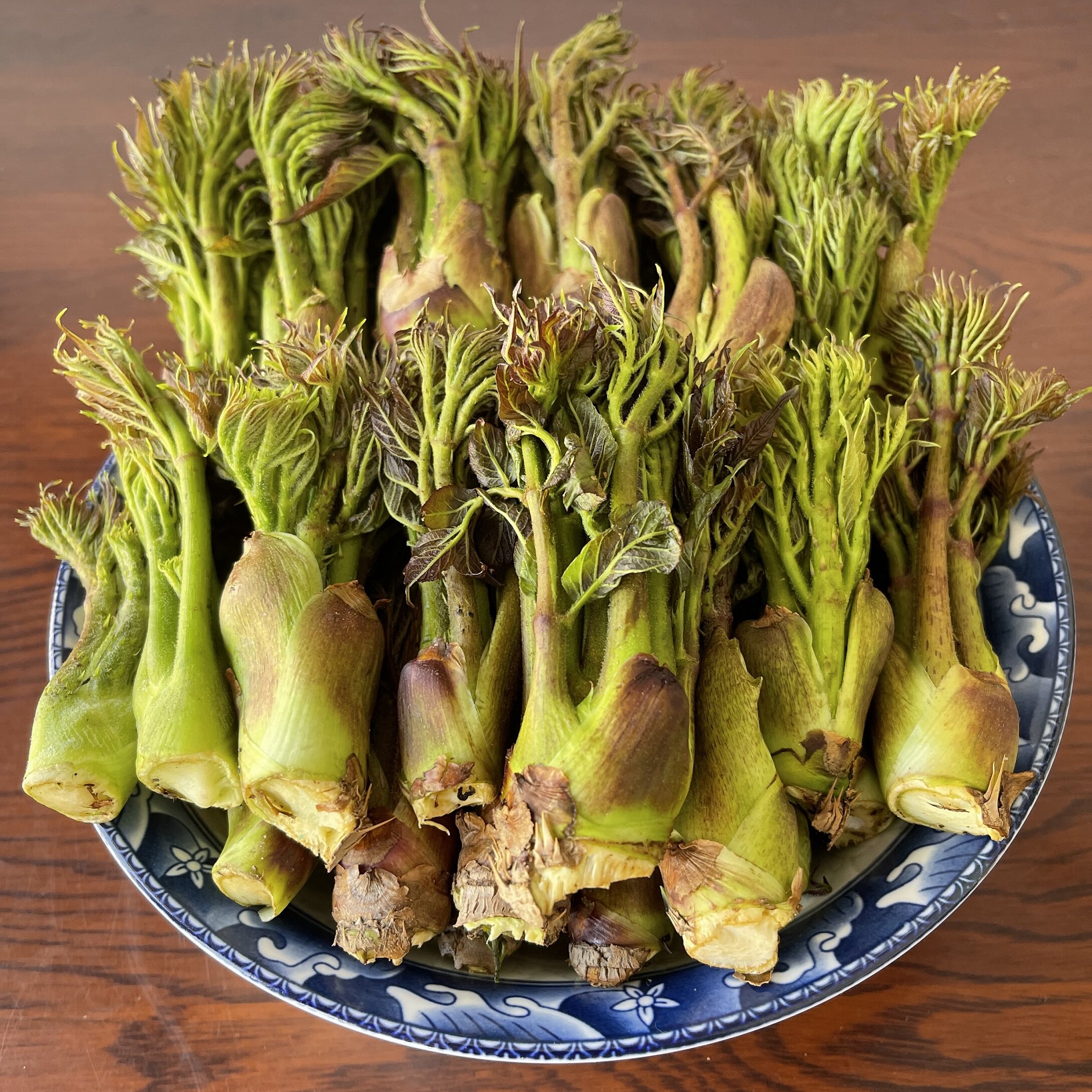 东北新鲜野生刺嫩芽山野菜刺老芽山菜刺龙芽五斤【礼盒】顺丰包邮