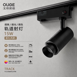 LED轨道灯/COB射灯/展厅灯/美术馆灯/可调光/调色温/可调焦/展厅