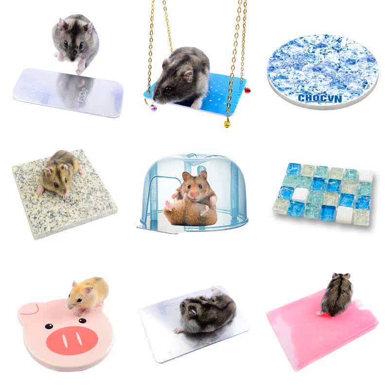 summer Summer suit Roll about cooling sleep Toys summer sleeping mat Hamsters summer Supplies Dissipate heat Petsin the Pet/Pet food and supplies , Class pet hamsters and other small , Small Animals (New) , Heat dissipation plate  category - from Buy2taobao.com to provide professional Taobao agent buy service
