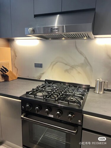 限量版家用开放式燃气烤箱