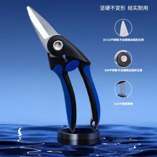 迈光SPS珊瑚剪刀防海水鱼缸繁殖剪镊子剪珊瑚钳MAXSPECT珊瑚剪刀