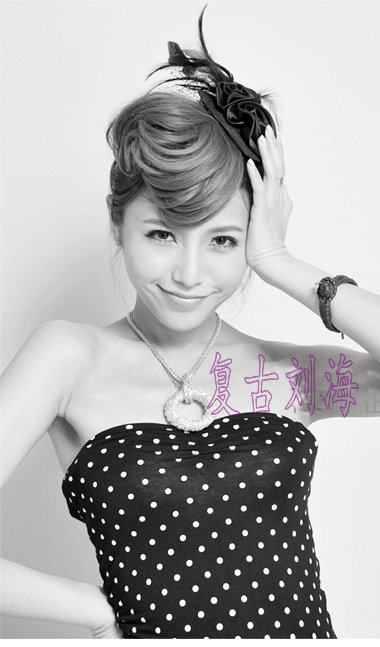 Extension cheveux - Chignon - Ref 244996 Image 1