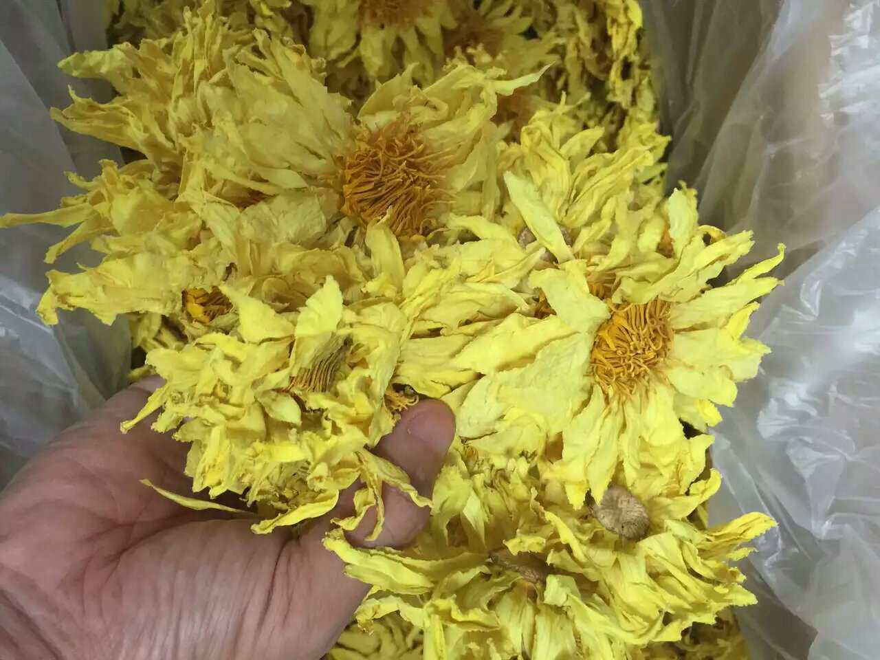 九品香水莲干花泡茶做纯露浸泡油台湾香水莲花茶20朵起订