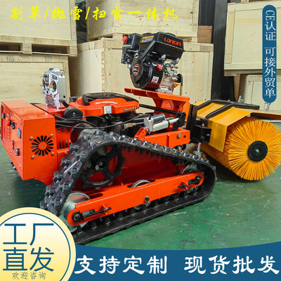出口德国遥控智能割草机 履带式油电两用堤坝除草机 扫雪抛雪机