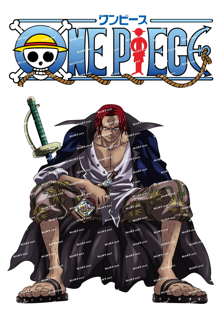 小号F0019-03海贼王卡通动漫笔记本旅行拉杆箱贴纸防水