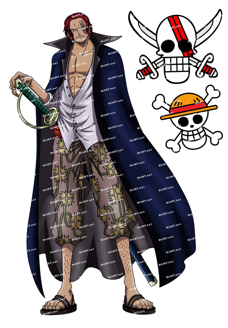 小号F0019-04海贼王卡通动漫笔记本旅行拉杆箱贴纸防水