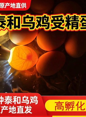 正宗泰和乌鸡种蛋受精鸡蛋受精卵白凤乌骨鸡种蛋受精蛋可孵化小鸡
